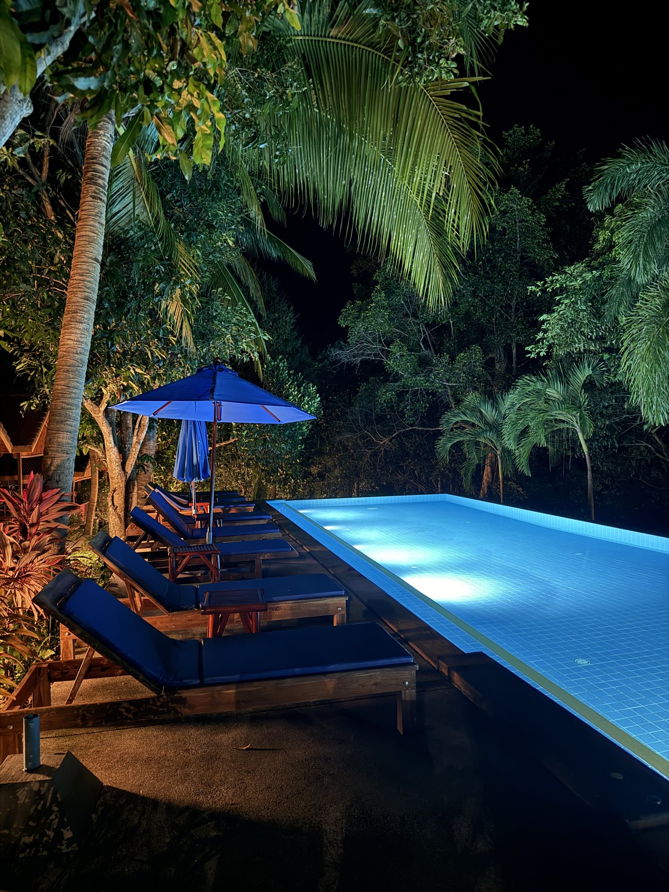 Resort pool at dusk surrounded by tropical greenery